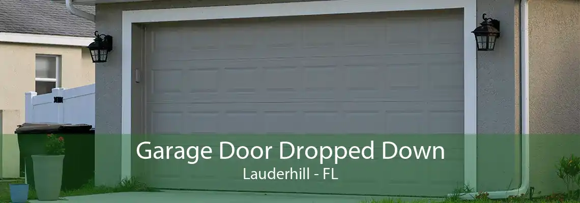 Garage Door Dropped Down Lauderhill - FL