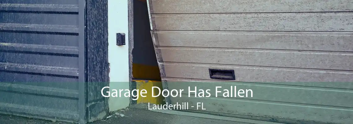 Garage Door Has Fallen Lauderhill - FL