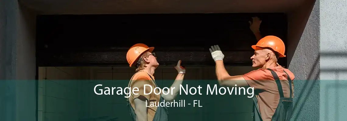 Garage Door Not Moving Lauderhill - FL