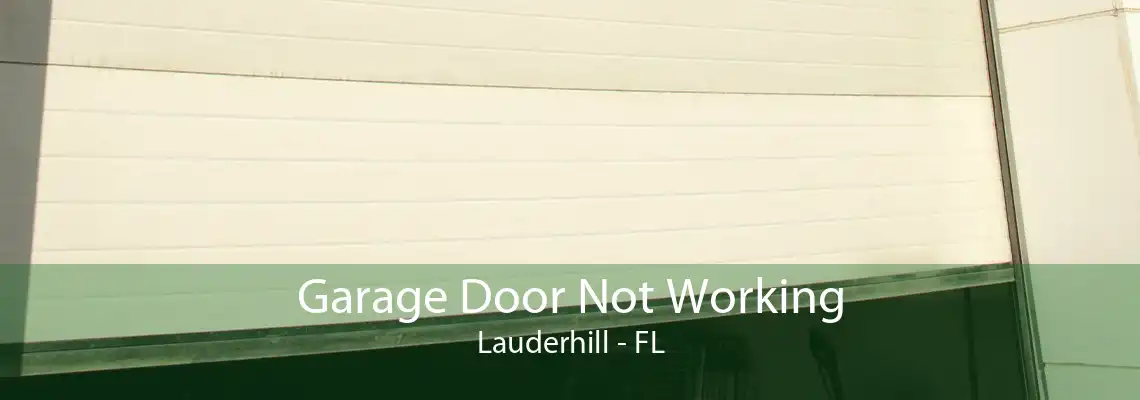 Garage Door Not Working Lauderhill - FL