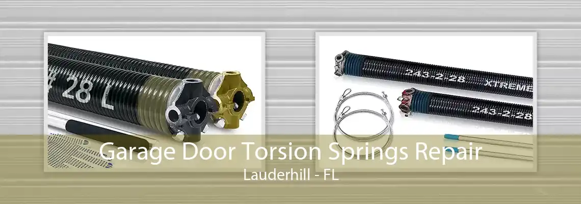 Garage Door Torsion Springs Repair Lauderhill - FL