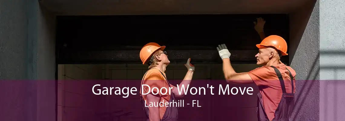 Garage Door Won't Move Lauderhill - FL