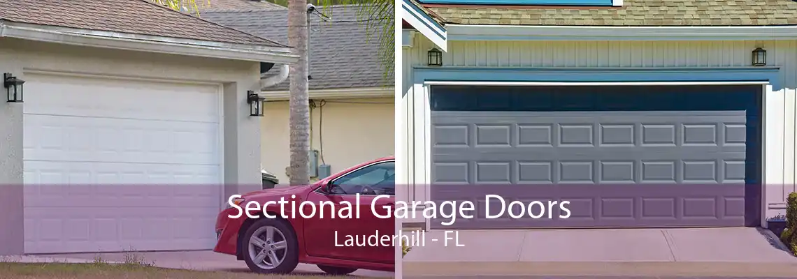 Sectional Garage Doors Lauderhill - FL